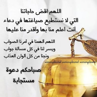 G5STGqYOKDOsCs3's profile picture. 