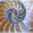 Daniel Schakel - @danielschakel - Twitter