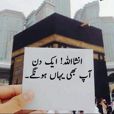 7ubkjnoony1's profile picture. 