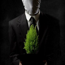 PeterFalcon - @PeterFalconPL - Twitter