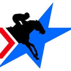 WiseRacingInfo's profile picture. Top Class Horse Racing Information Direct From Newmarket