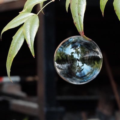 wf_o4's profile picture. ソフトウェアエンジニア/東京学芸大学/情報科/学部(15-19)/修士(19-21)/櫨山研究室/テニス/