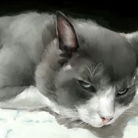 GUY(中平凱) (@guy_n) 's Twitter Profile Photo GUY(中平凱) (@guy_n) 's Twitter Profile Photo