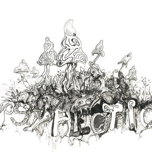 Experimental Producer, Songwriter, Guitarplayer
psYplectic, flowereXpression, PUiD, IraXanA