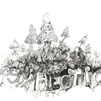 psYplectic (@psy_plectic) 's Twitter Profile Photo psYplectic (@psy_plectic) 's Twitter Profile Photo
