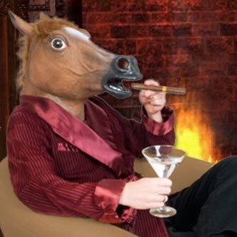 Hej! I am Anders the Horse. I represented Land of Fire Azerbaijan in Eurovision Song Contest! 🐴🐴🐴 (Parody account - Elon, I am not really a horse.)