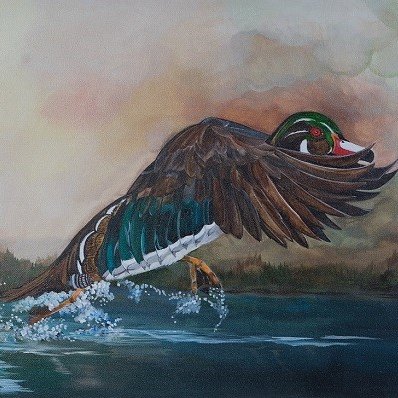 SaveOurWetland's profile picture. Working to protect the wetlands of Louisiana from the further erosion and from the threat of the big oil companies.