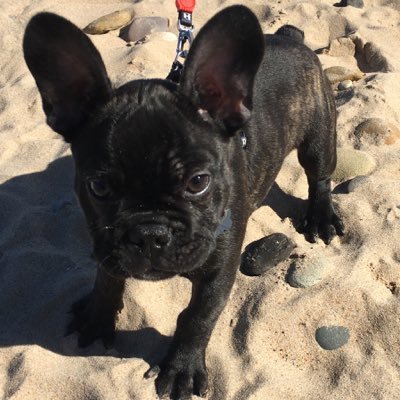 TracyDNE1's profile picture. 