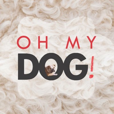 Looking for an easier, hassle free and peaceful way to keep your pet entertained and exercised while you're away? OH MY DOG, YES!