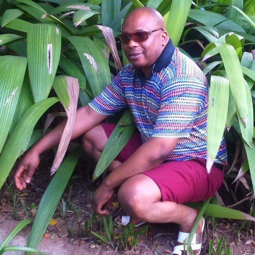 I'm not here for investment scams, please don't dm me for any of that nonsense.