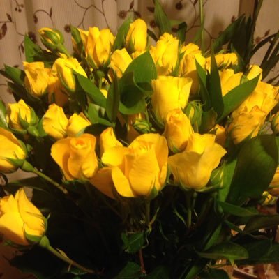 ON_floxy's profile picture. 