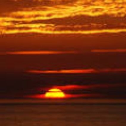 QueehGray's profile picture. Believe In Yourself! #Runner #Books #Cooking #Recipes #Pets #Busines #Reading