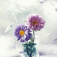 تالين (@fdwhih) 's Twitter Profile