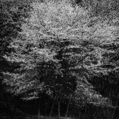 geanxi's profile picture. believe in Karmar. What you do today is what you'll earn tomorrow.