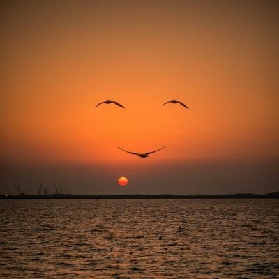 521Maksim's profile picture. 