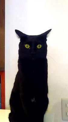きなこさんのプロフィール画像