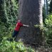 Dr Kathryn Lambert (@ecofascination) Twitter profile photo Dr Kathryn Lambert (@ecofascination) Twitter profile photo