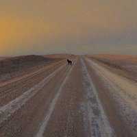 Dancing Sky Theatre (@danceskytheatre) 's Twitter Profile