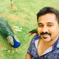 Ramki Pandianrajan(@ramki1822) 's Twitter Profile Photo