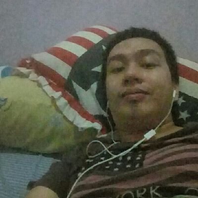 PieterTani's profile picture. 