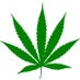 Legalize Cannabis (@hempluvindia) Twitter profile photo