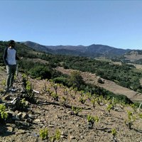 Òscar Navas Capilla (@oncapilla) 's Twitter Profile