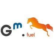 Gm Fuel Card es la tarjeta de carburante para transportistas profesionales creada por el operador petrolífero Gm Fuel Service. Para autónomos y grandes flotas.