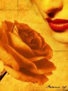 12344mmn's profile picture. 