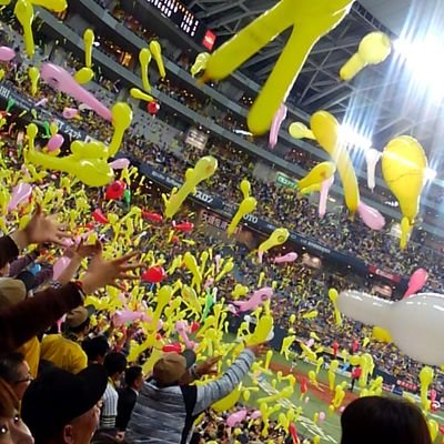 onaji_soranoshi's profile picture. ⚾🐯命⚽桜LOVE🐴大好き💕同じ空の下で幸せに、ただひたすらに過去には囚われず前向きに★おもしろきこともなき世を面白くすみなすものは心なりけり☆Since 2017.4.27