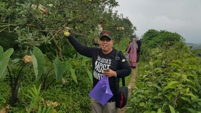 sosaaf1's profile picture. Mistakes are proofs that we're trying