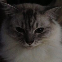 π«ππ πΊππππ π¦ π¦πΊπποΈ (@smithy_deb) 's Twitter Profile