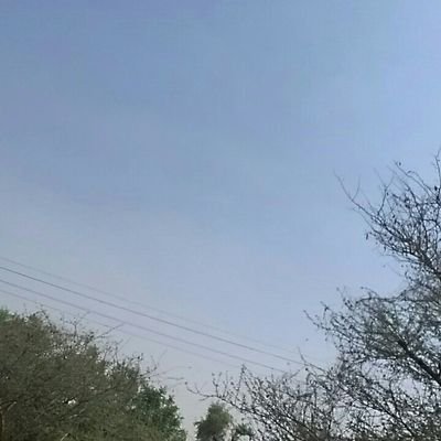 chirya_ramesh's profile picture. 