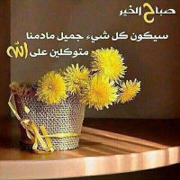 العراق وطني (@nahlashaker2) Twitter profile photo