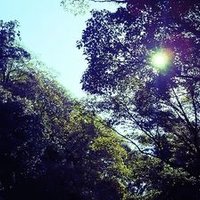 就労継続支援B型 Landmark (@npolandmark) 's Twitter Profile Photo