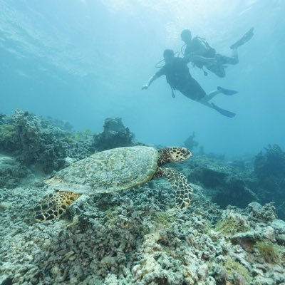 QZeee's profile picture. 