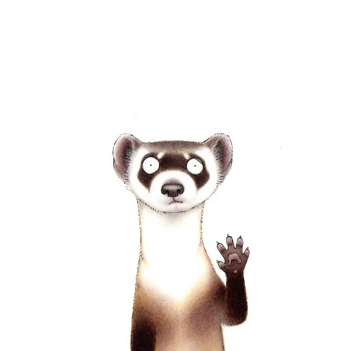 Martin Brownさんのプロフィール画像