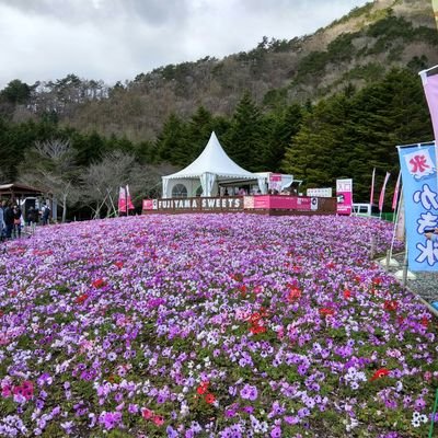 YumeiHimura's profile picture. Traveling round d world in 60days