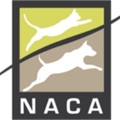 NACA Profile
