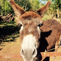 mcaminag (@mcaminag) 's Twitter Profile