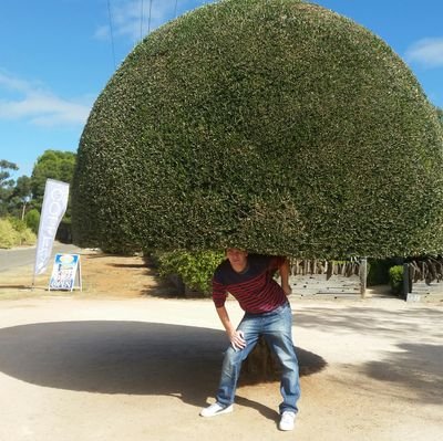 p_oriel's profile picture. 