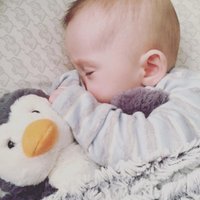 Calsters (@calstershq) 's Twitter Profile