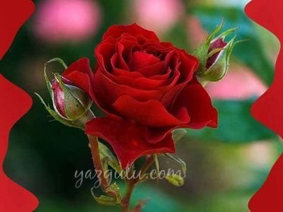 Oby7B7G7yCwZctj's profile picture. 