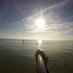 All Things Hayling (@athayling) Twitter profile photo All Things Hayling (@athayling) Twitter profile photo