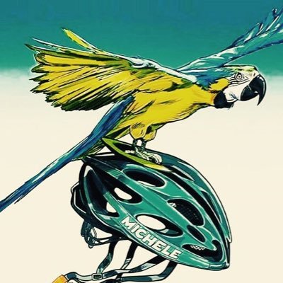 ModusVivendi_bg's profile picture. Performance support