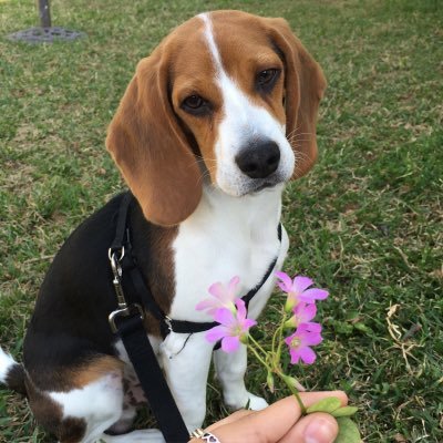 MyrthalaHernan2's profile picture. 