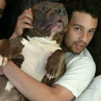 Nick (@nicksrod) 's Twitter Profile