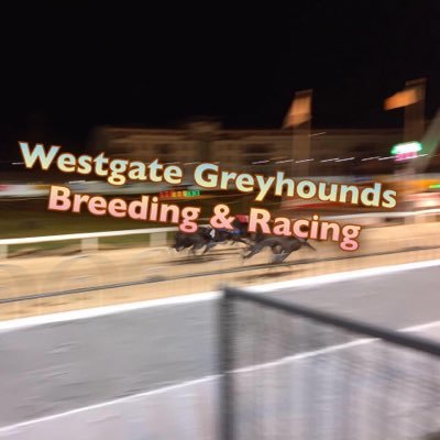 Greyhound Racing & Breeding