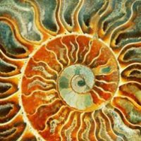 Seed Systems (@seedsystems) 's Twitter Profile