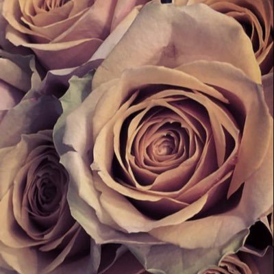 We have the freshest wholesale flowers from all around the world shipped directly to your doorstep in US and Canada