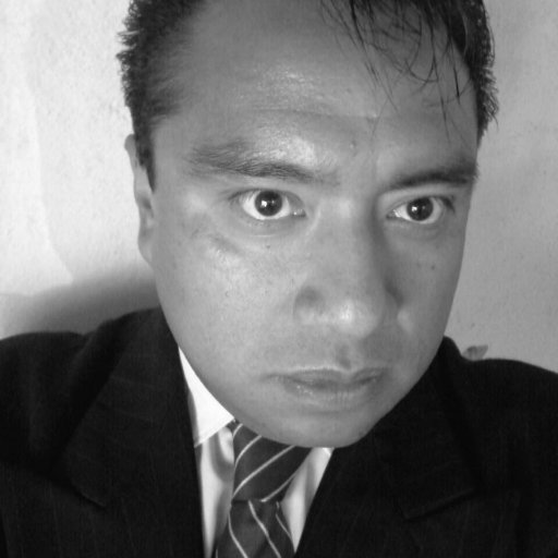Egresado de la Licenciatura en Derecho por la Universidad Mexicana Campus Izcalli, Diplomado en Amparo, D. Humanos y Educ. Financiera ⚖️📚🖋️